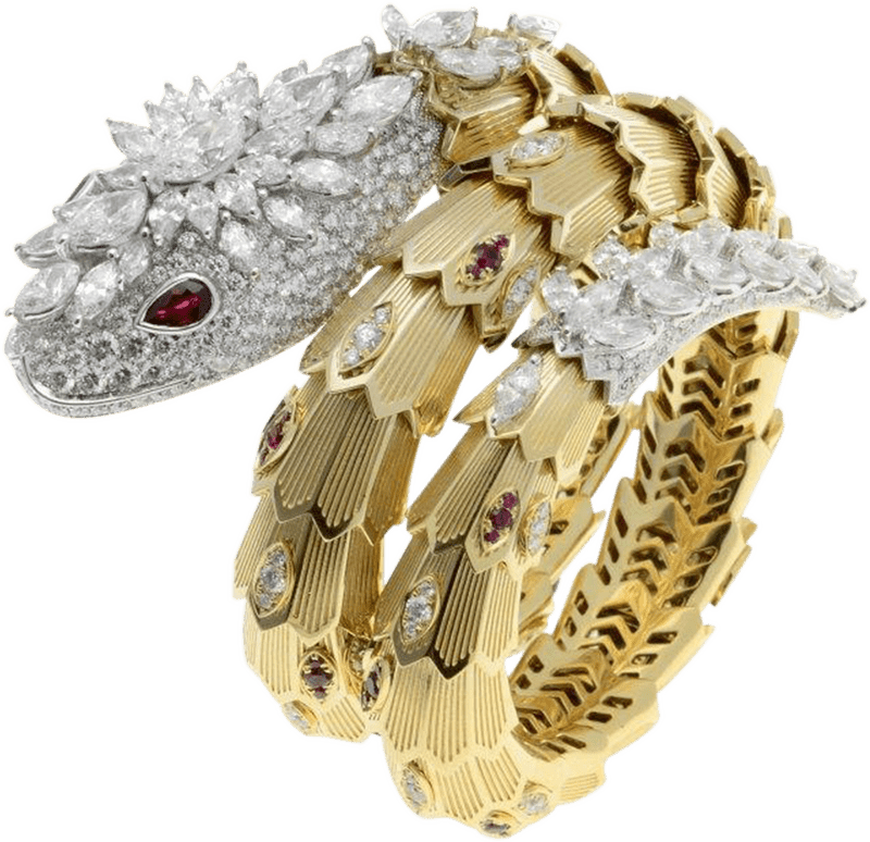 Elegant Snake Jewelry A Dazzling Marvel PNG
