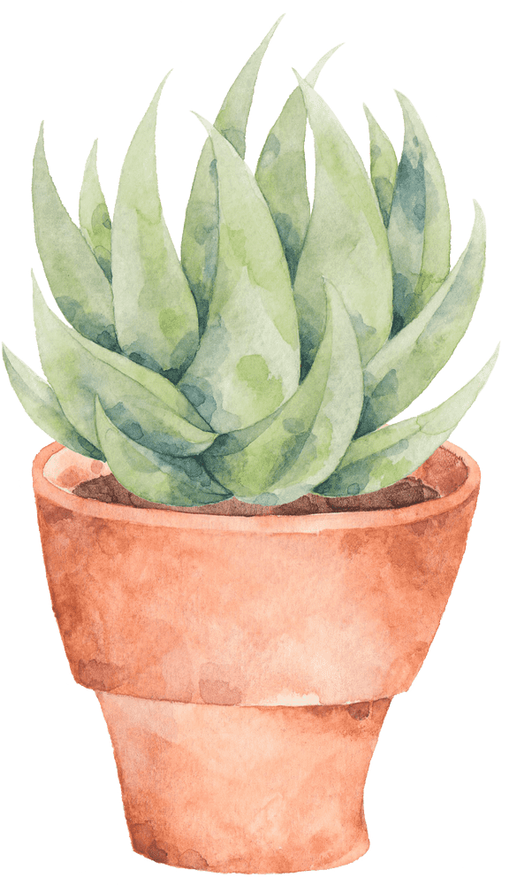 Peaceful Aloe Vera Succulent Life PNG
