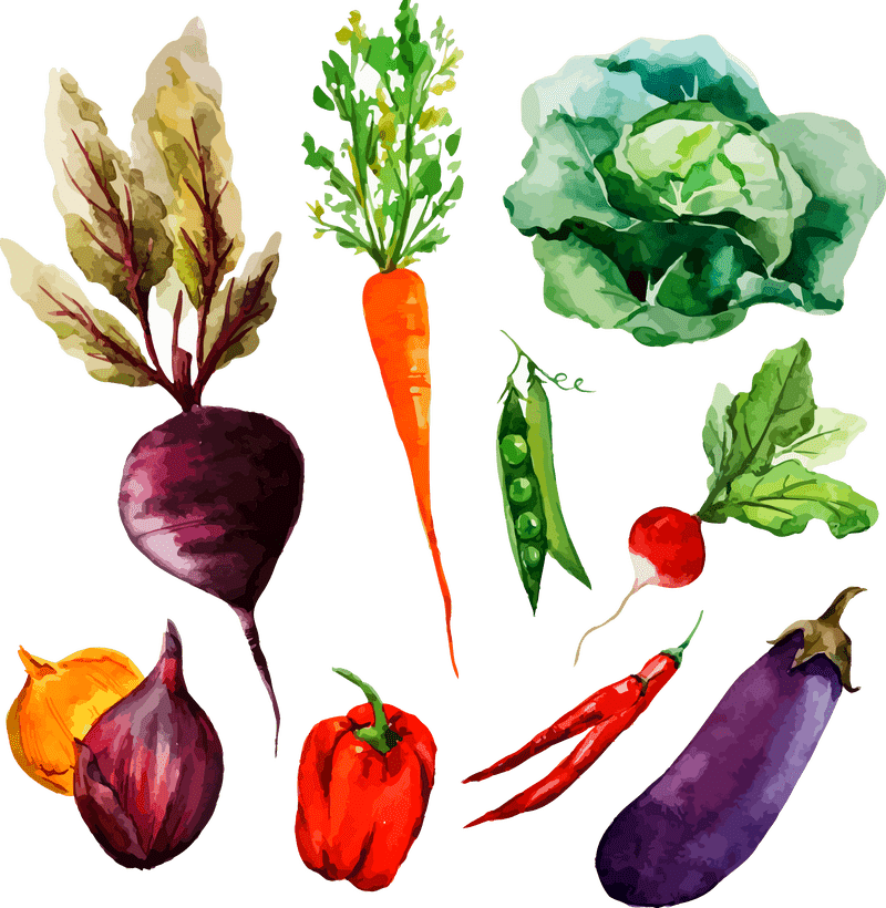 Vibrant Harvest from the Greenhouse Garden PNG