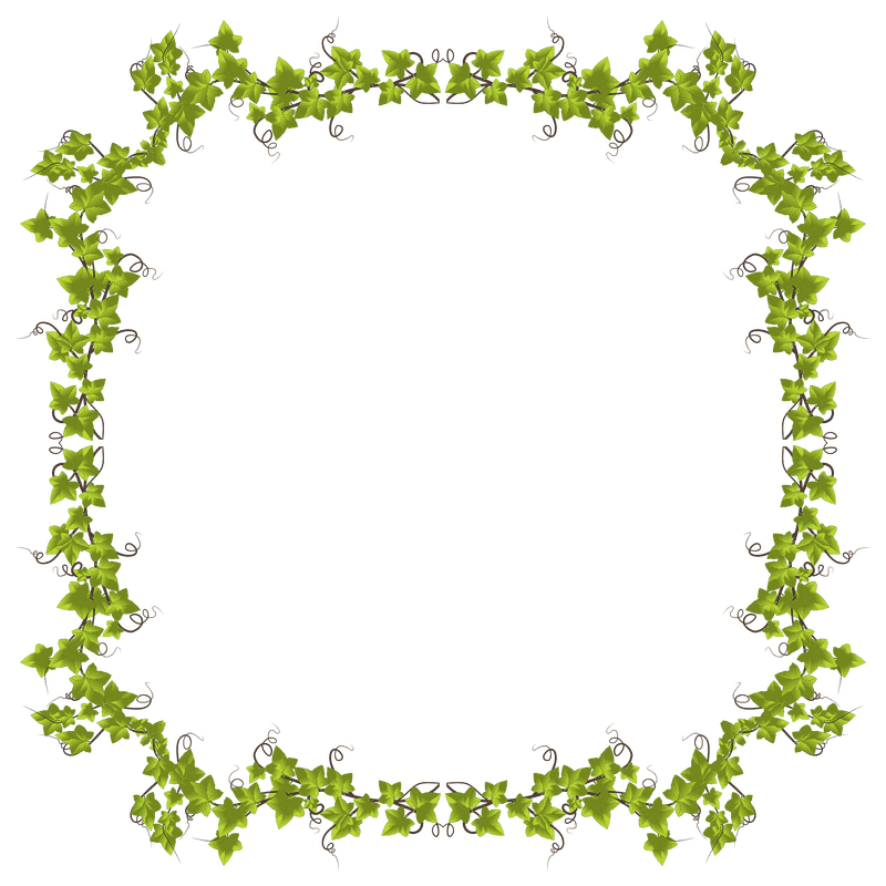 Ivy Leaf Enchantment Nature's Elegant Frame PNG