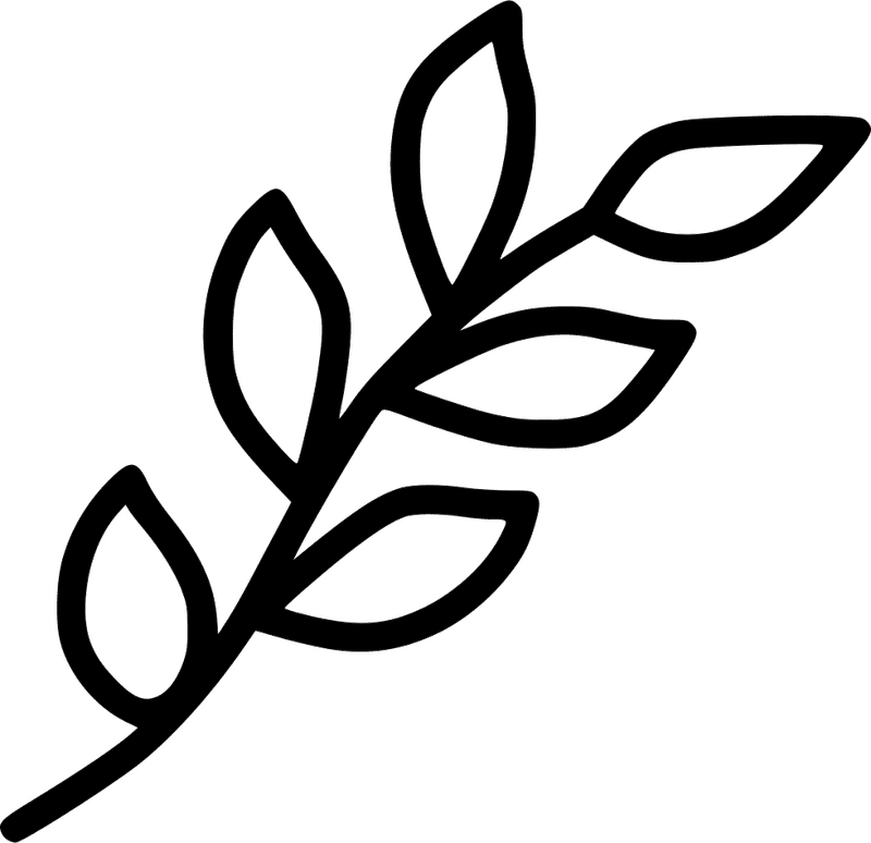 Whispering Leaf Nature's Gentle Embrace PNG