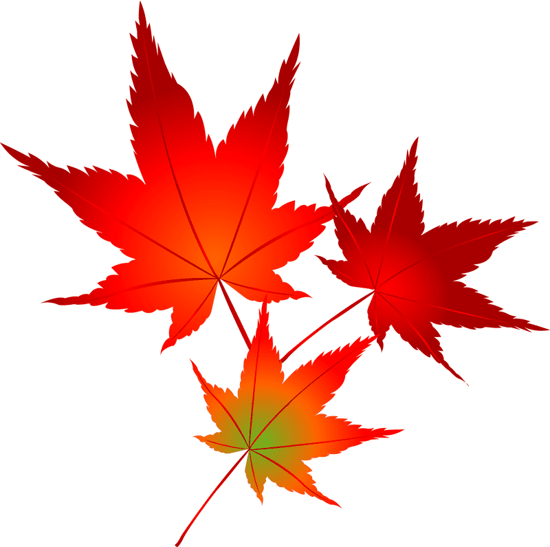 Vibrant Autumn Leaf Trio PNG