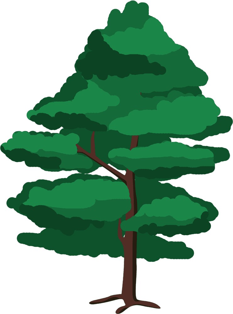 Whimsical Pine Cone Tree Illustration PNG