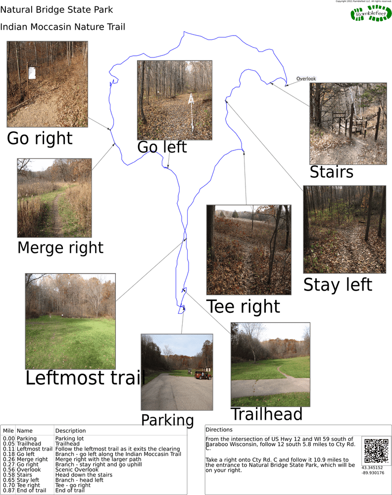 Scenic Hiking Trail Through Autumn Woods PNG