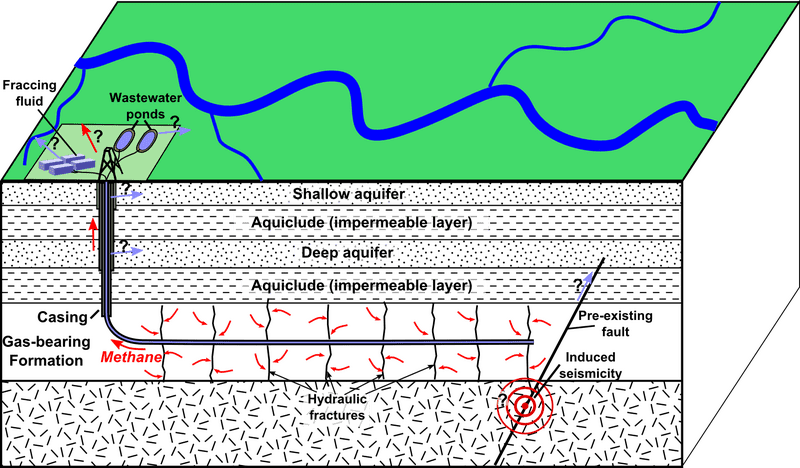 Petroleum Resource Extraction and Environmental Impact PNG