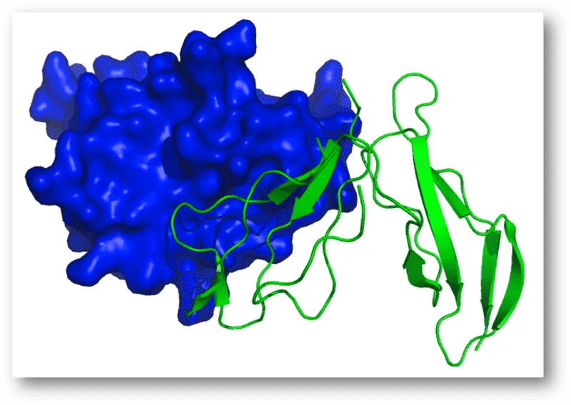 Protein Shaker Molecular Structure Unleashed PNG