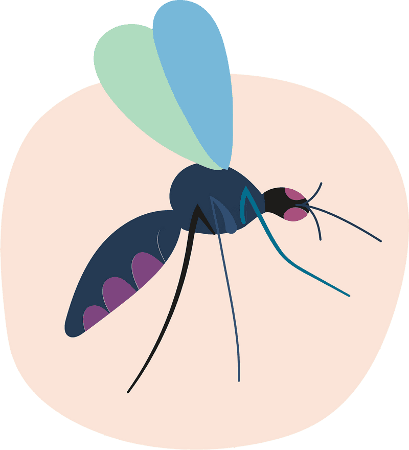 Effective Mosquito Repellent for Outdoor Protection PNG