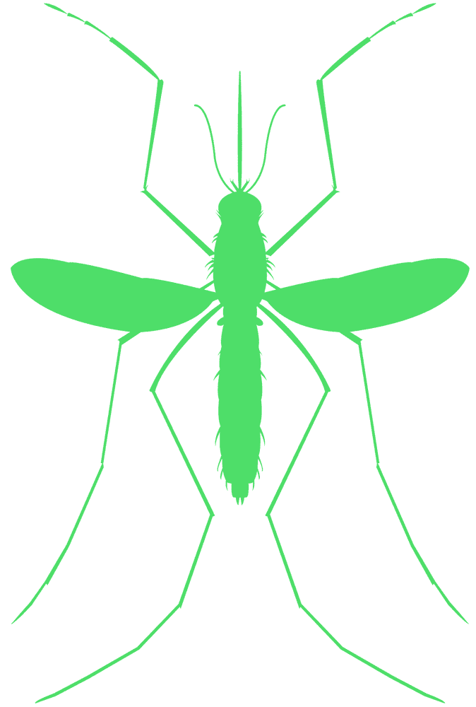 Ultimate Mosquito Repellent Protection Solution PNG