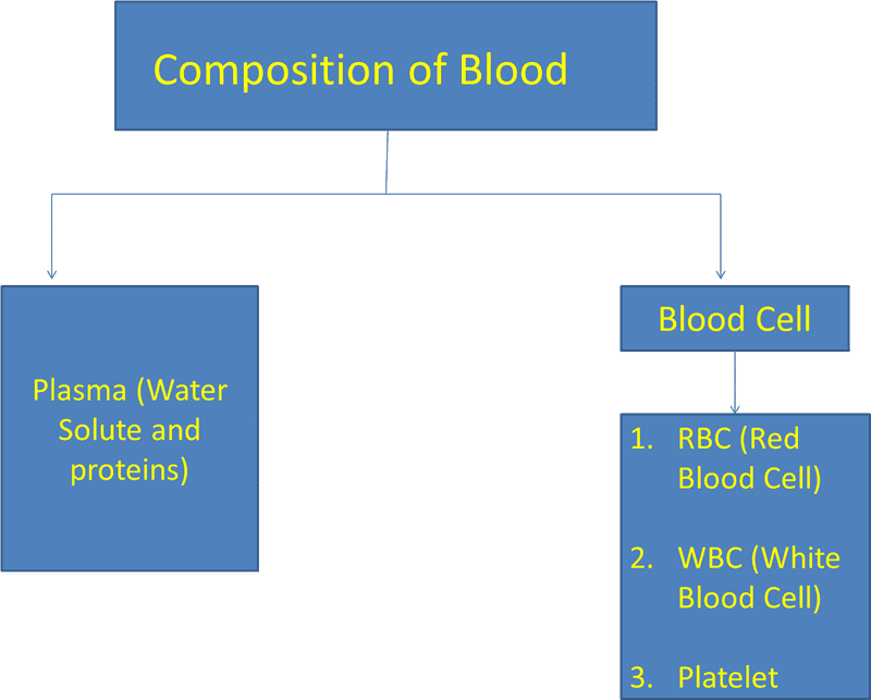 Understanding the Composition of Blood in Medicine PNG