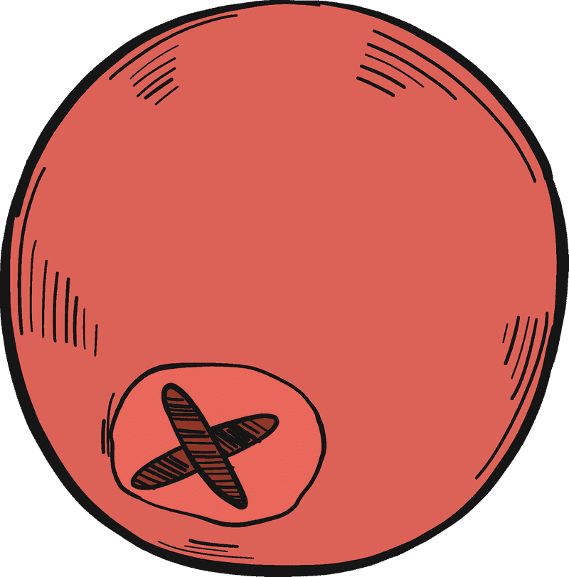 Cranberry Delight Nature's Juicy Gem PNG