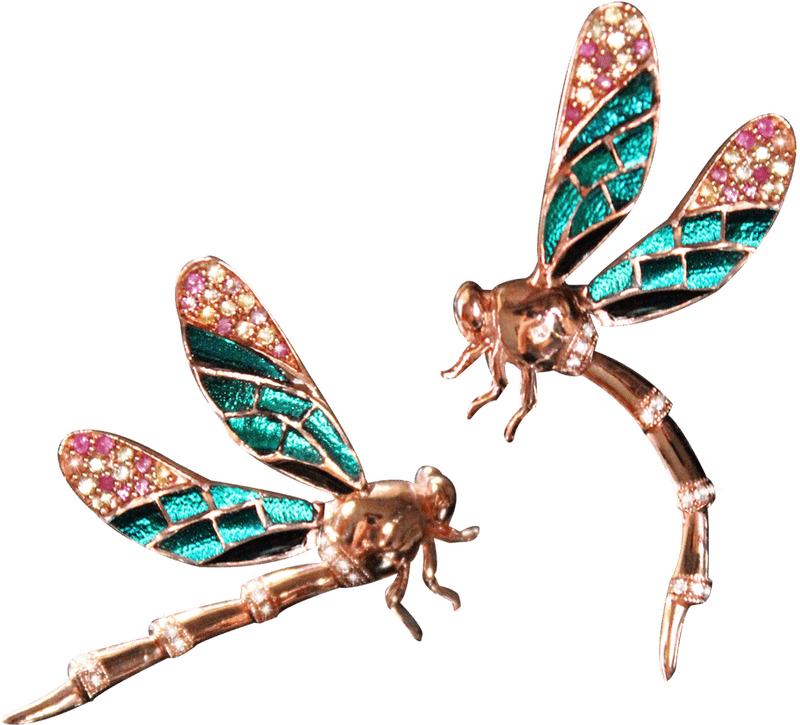 Sparkling Insect Dragonflies Adorned with Gems PNG