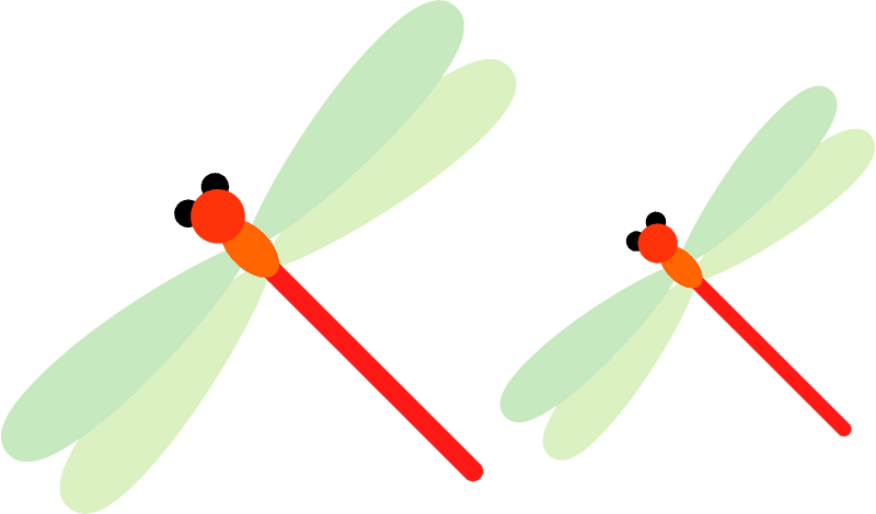 Elegant Insect Duo The Dragonflies in Flight PNG