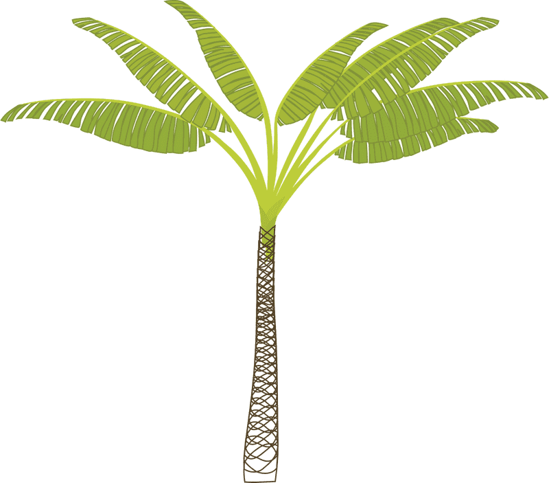 Vibrant Palm Tree in Tropical Paradise PNG