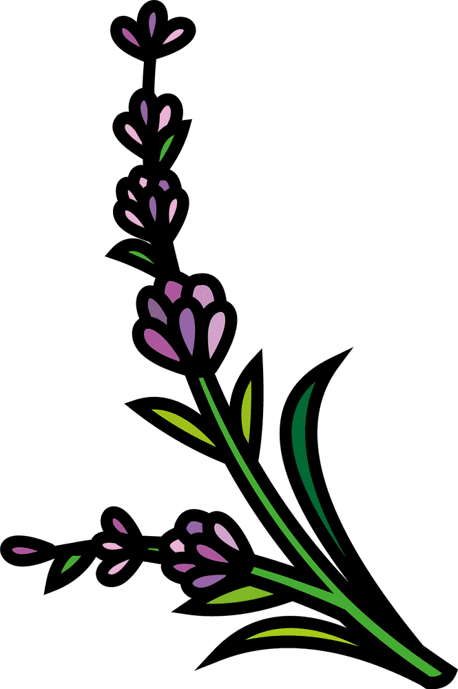 Lavender Field Serenity and Beauty PNG