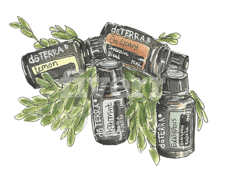 Colorful Ink Bottle Collection with Herbs PNG