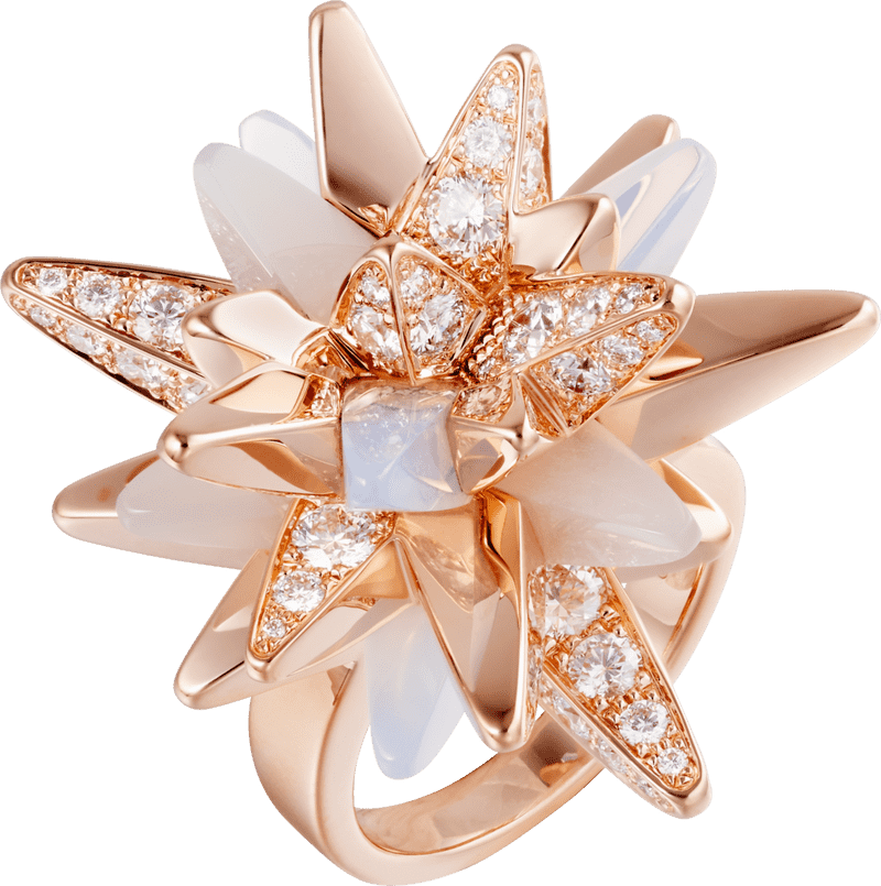 Starlit Bloom Exquisite Jewelry Ring PNG