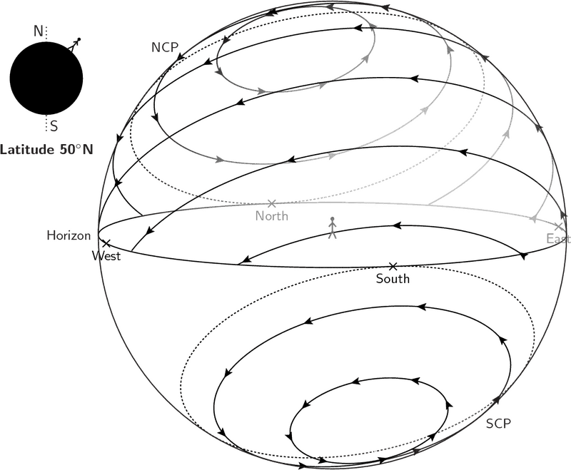 Enchanting Night Market Under Starry Skies PNG