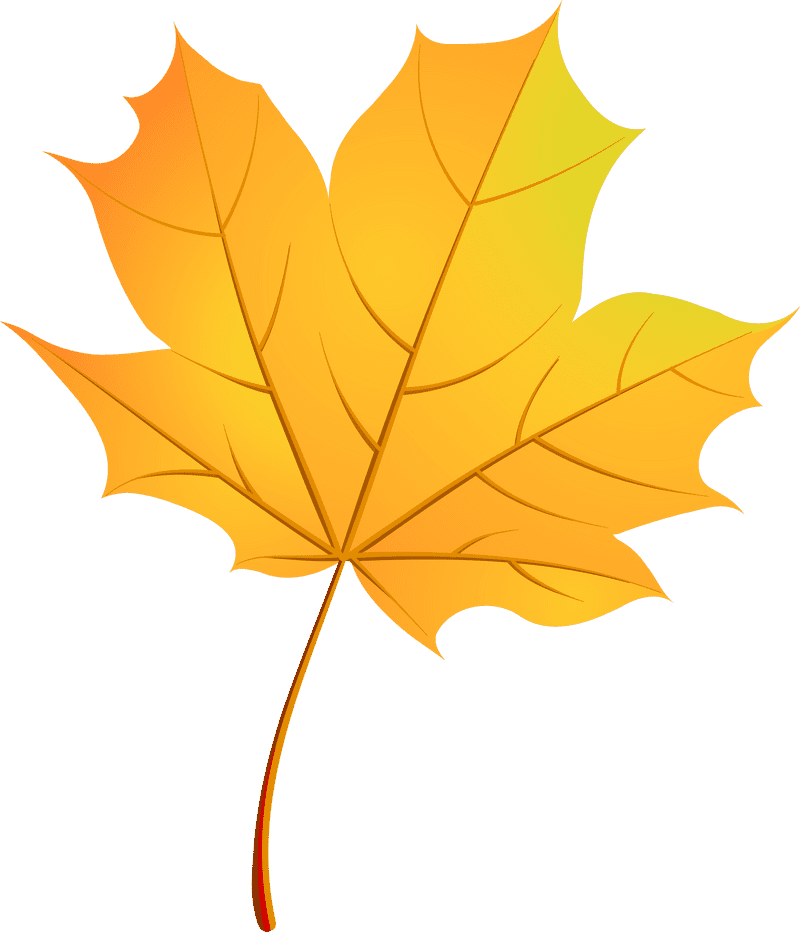 Golden Autumn Leaf Delight PNG