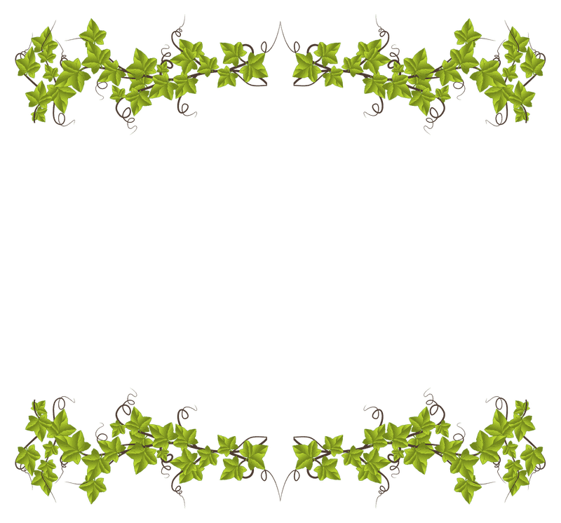 Ivy Leaf Elegance Nature's Framed Beauty PNG