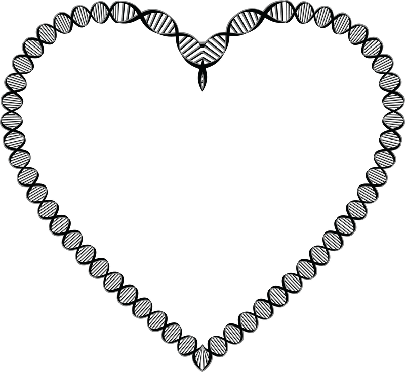 DNA Love A Heart of Genetics PNG