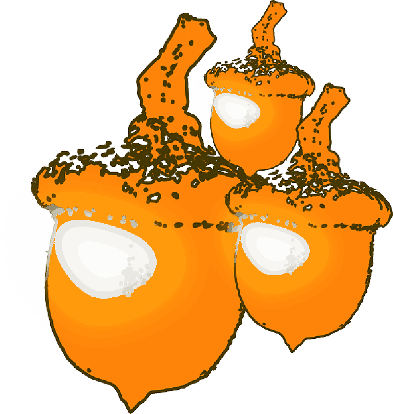Nutty Acorn Treasures in Vibrant Orange PNG