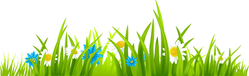 Vibrant Grass with Blossoming Flowers PNG