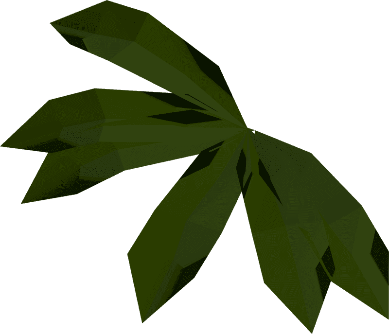 Underwater Verdant Foliage PNG