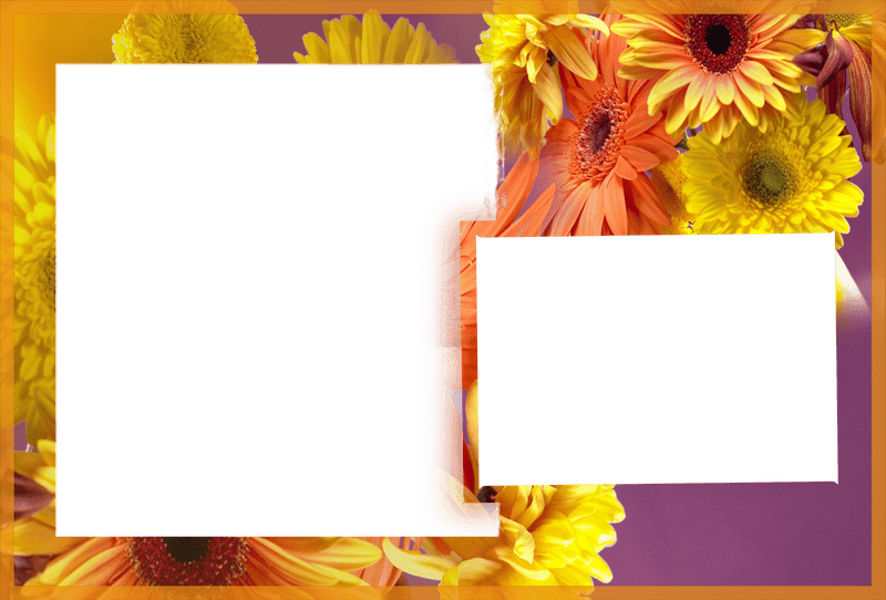 Vibrant Floral Photo Frame for Cherished Memories PNG