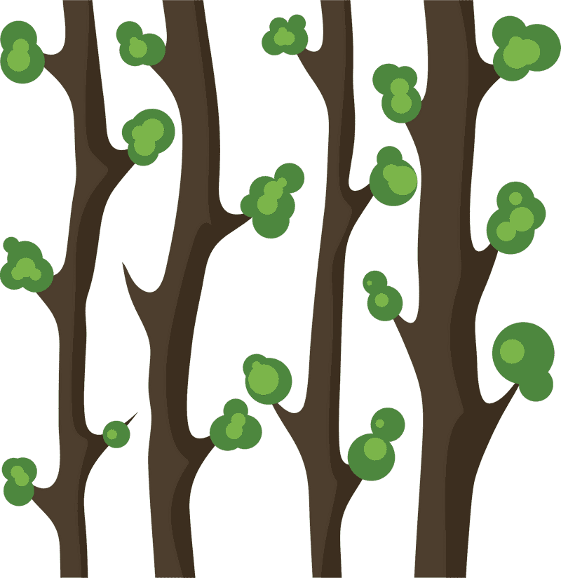 Verdant Tree Canopy in Twilight PNG