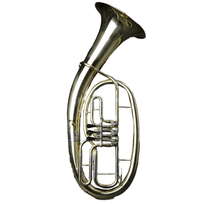 Joyful Celebration with Party Horn Tuba PNG