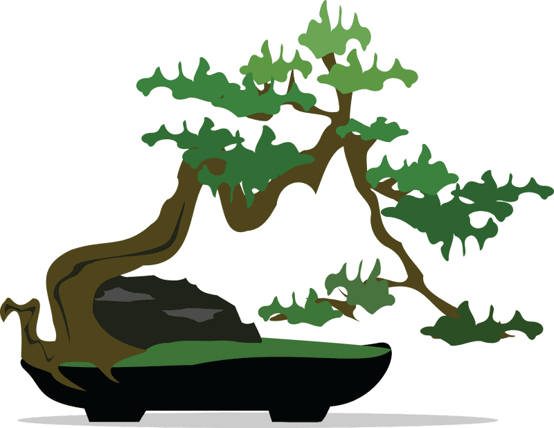 Serene Bonsai Tree Oasis in Zen Style PNG