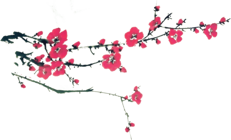 Chinese Blossom Branch in Springtime Beauty PNG