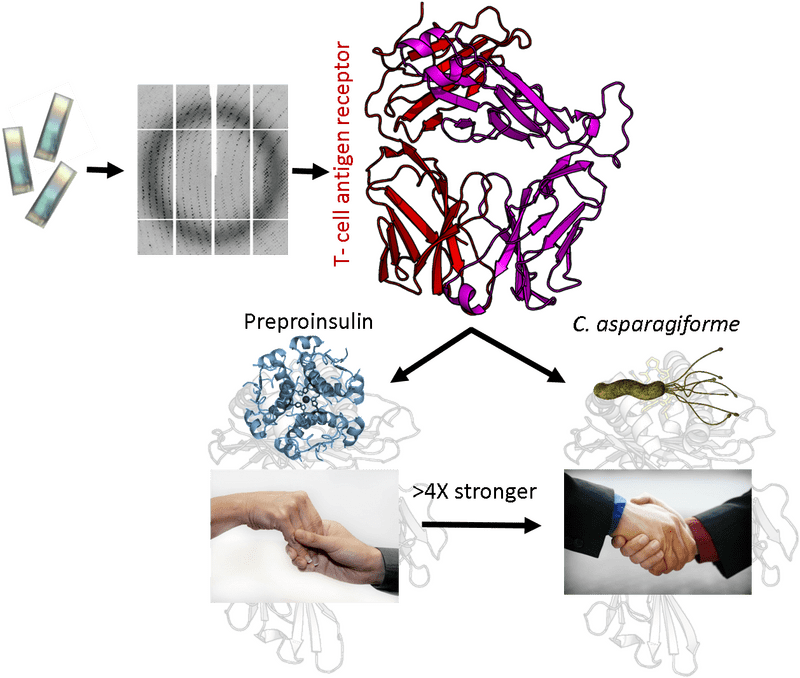Printing Press Bridging Science Through Collaboration PNG
