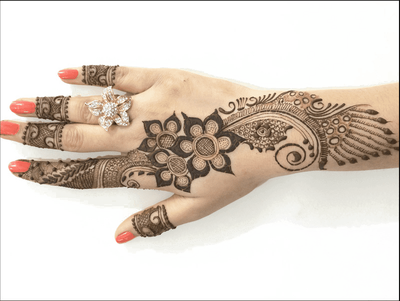 Elegant Hand Antiseptic for Beautifully Adorned Hands PNG