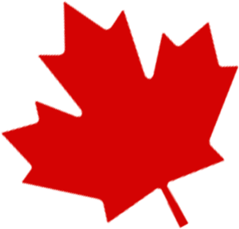 Vibrant Red Maple Leaf Design PNG