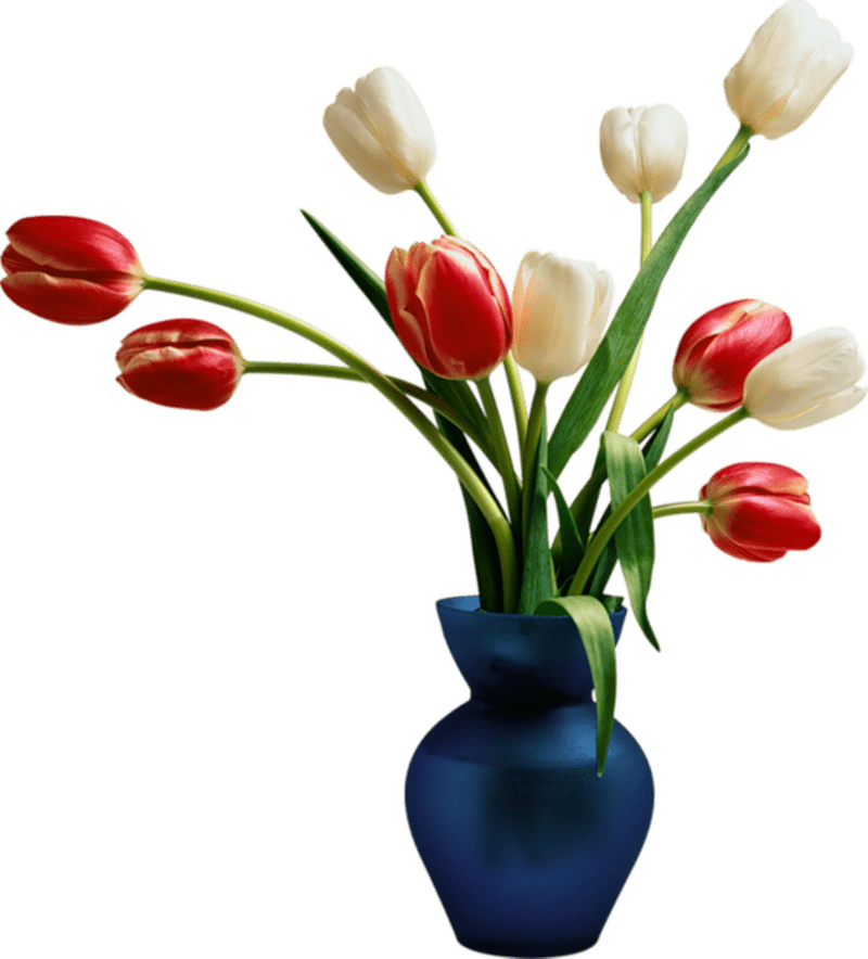 Vibrant Tulip Bouquet in Elegant Vase PNG