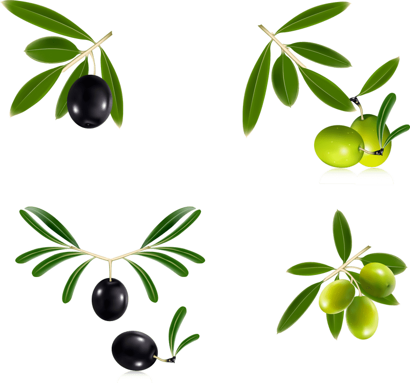 Olive Oil The Essence of Natural Goodness PNG