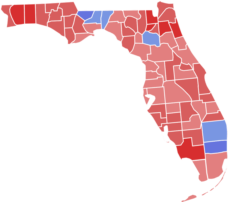Florida Election Ballot Results Map PNG