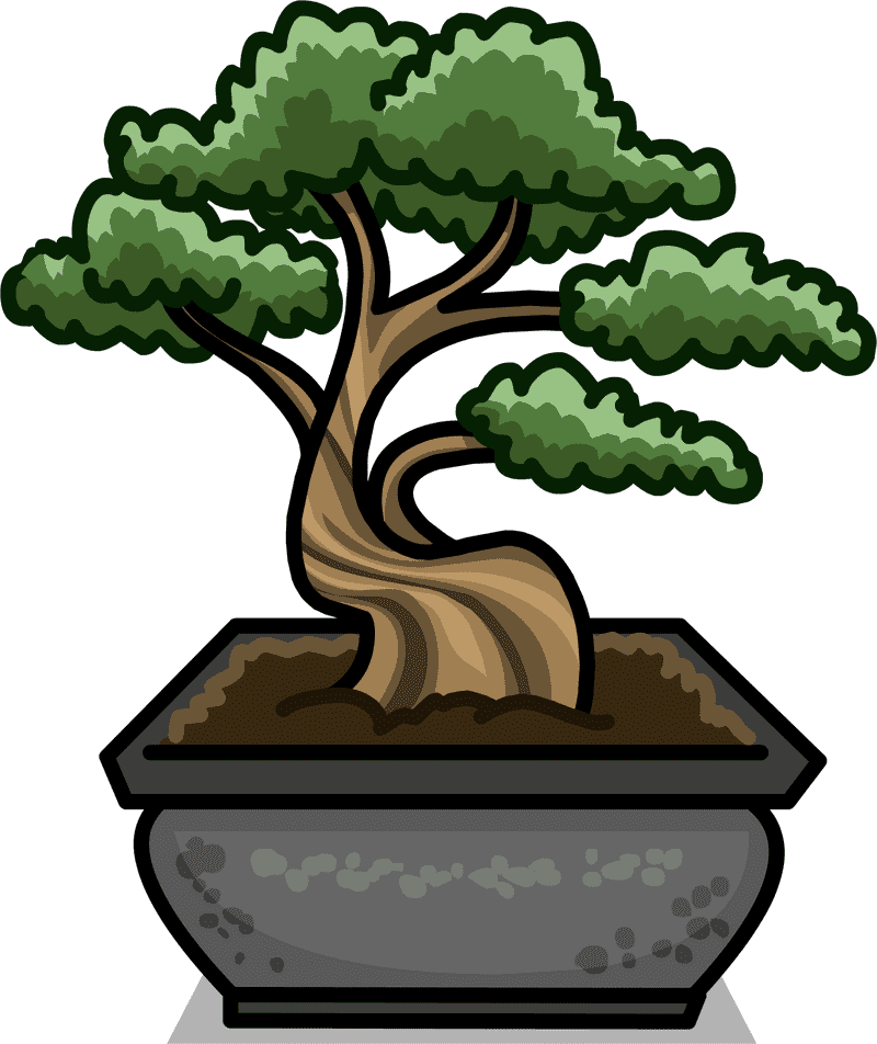 Beautiful Bonsai Tree of Tranquility PNG
