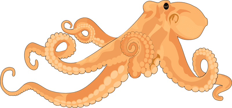 Graceful Movement of Octopus Tentacles PNG