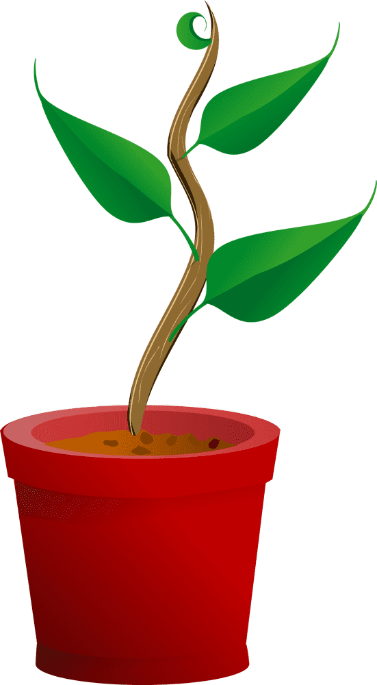 Vibrant Green Plant Pot with Twisting Stem PNG