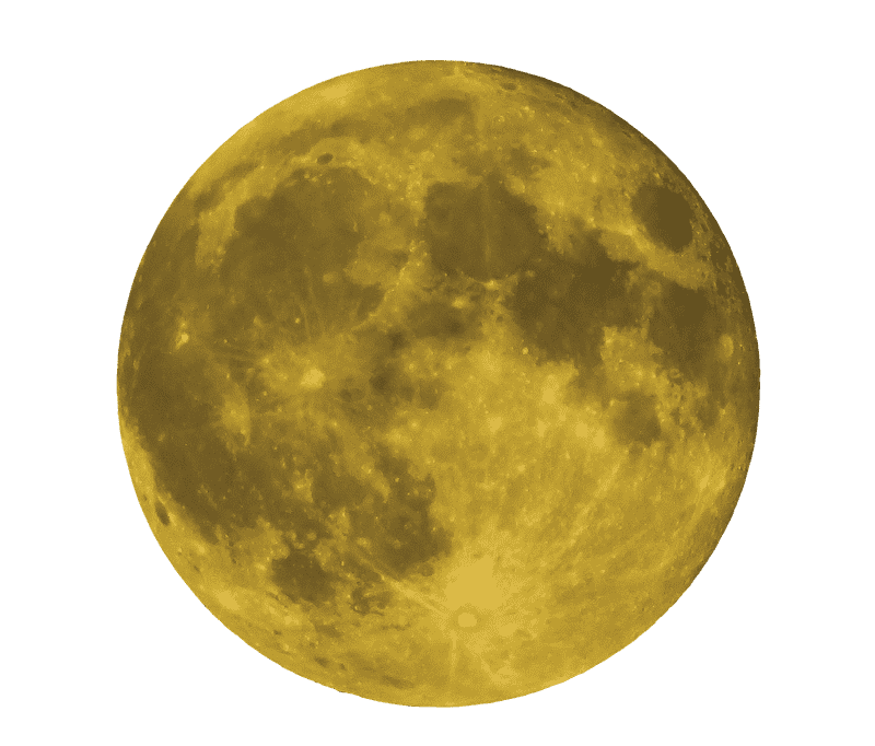 Golden Moonlit Wonder PNG