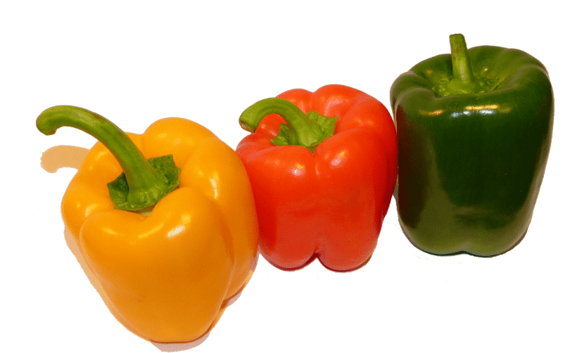 Colorful Peppers in a Vegetable Garden PNG