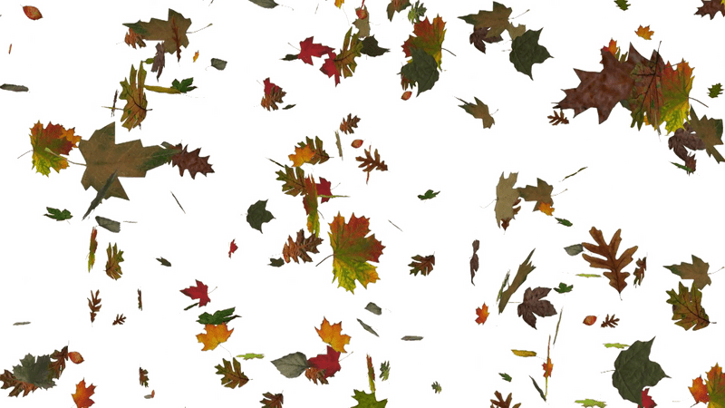 Whirling Colors of Autumn Leaves PNG