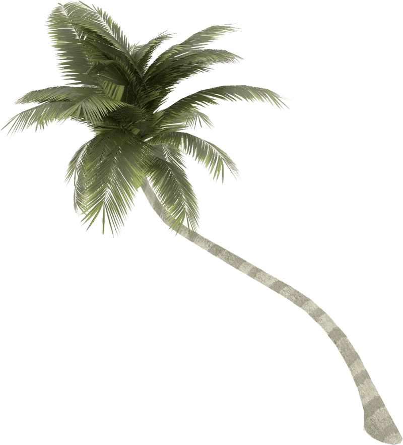 Tropical Tree with Lush Green Canopy PNG