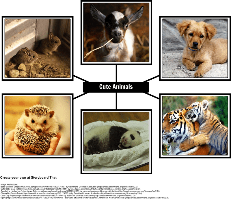 Printing Press The Art of Reproducing Cute Animal Portraits PNG