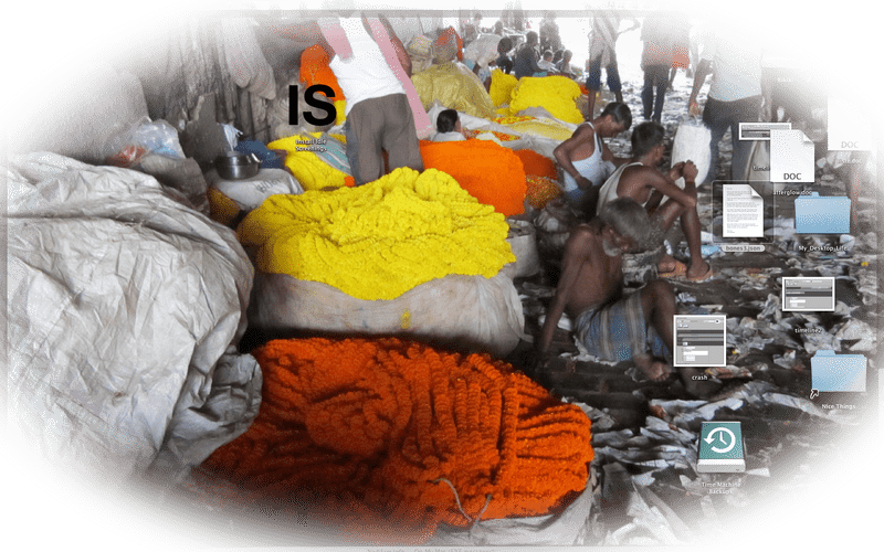 Vibrant Market Stall of Colorful Flowers PNG