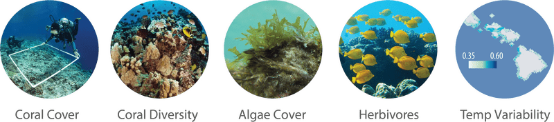 Coral Reef Health and Ecosystem Dynamics PNG