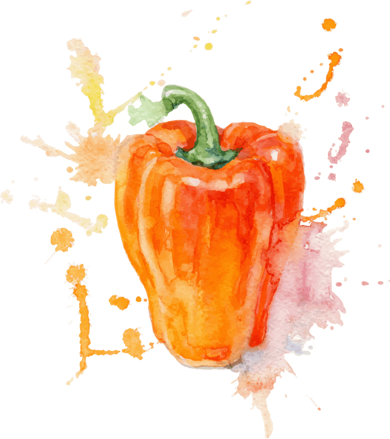 Vibrant Vegetable Garden The Art of Peppers PNG