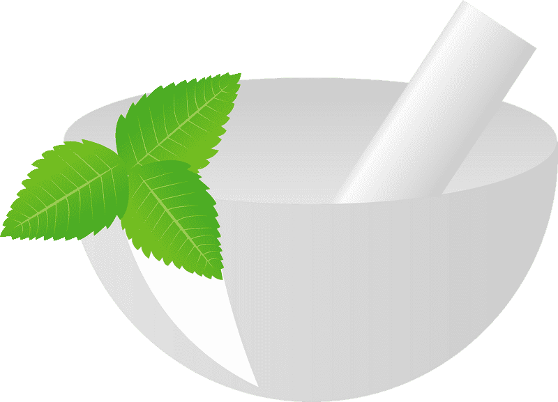 Fresh Ingredients with Mortar and Pestle PNG